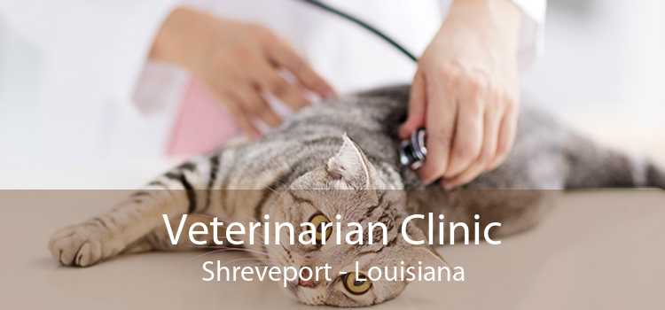 Veterinarian Clinic Shreveport - Louisiana