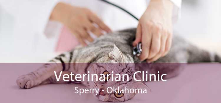 Veterinarian Clinic Sperry - Oklahoma
