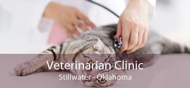 Veterinarian Clinic Stillwater - Oklahoma