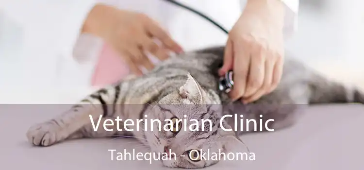 Veterinarian Clinic Tahlequah - Oklahoma