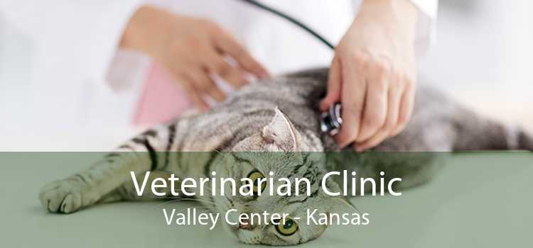 Veterinarian Clinic Valley Center - Kansas