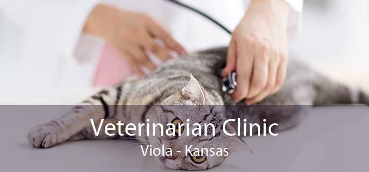 Veterinarian Clinic Viola - Kansas