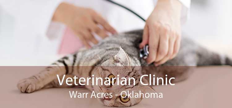 Veterinarian Clinic Warr Acres - Oklahoma