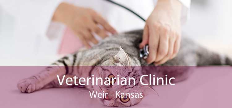 Veterinarian Clinic Weir - Kansas