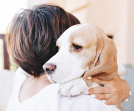 pet euthanasia in Gardere